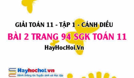 Giải bài 2 trang 94 Toán 11 tập 1 SGK Cánh Diều